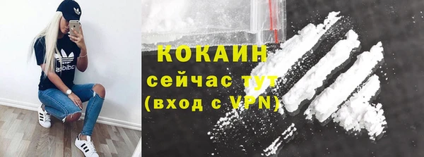винт Кулебаки