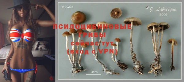 винт Кулебаки