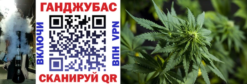 Купить где  Володарск  Бошки марихуана ГИДРОПОН 